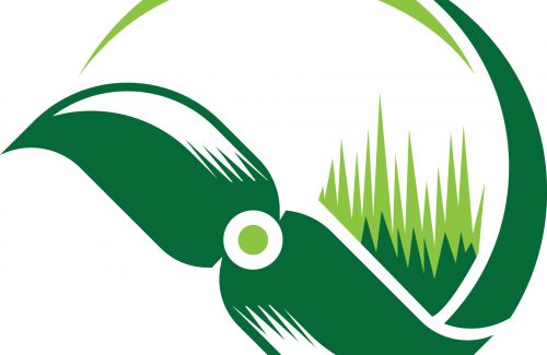 vecteezy_logo-vector-grass_8531369
