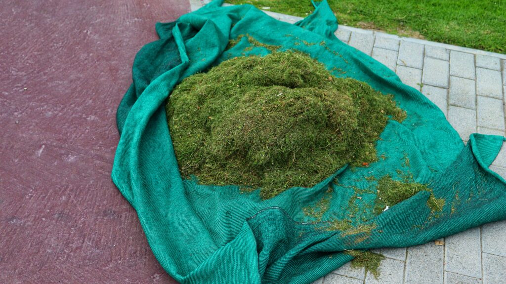 vecteezy stock of freshly cut grass in the meadow closeup selective 21809136